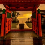 雨